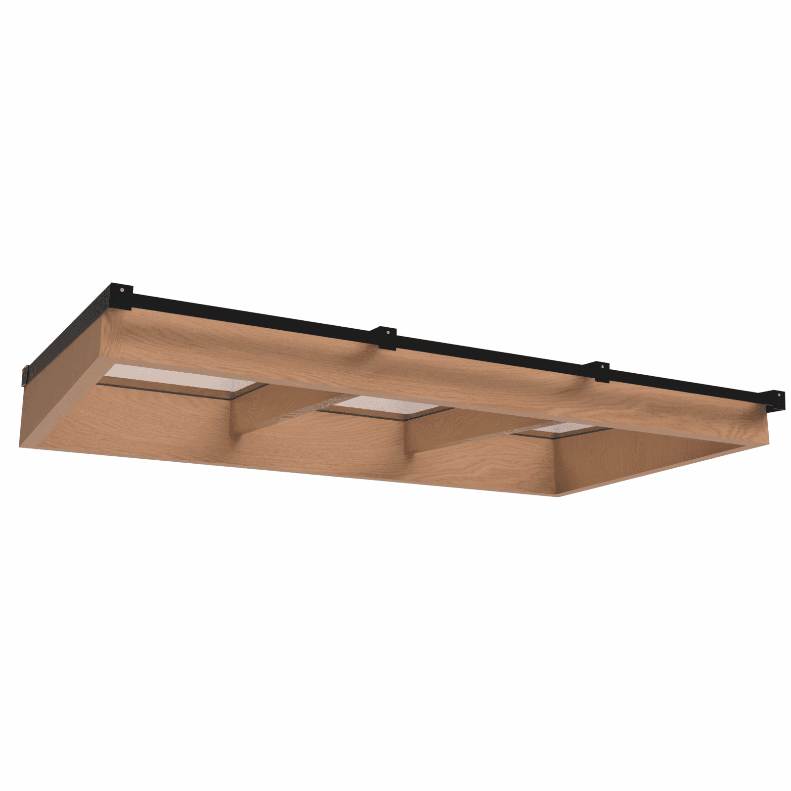 Lichtstraat met lessenaarsdak | onderbouw van onbehandeld douglas | 240,2x125cm | zwart