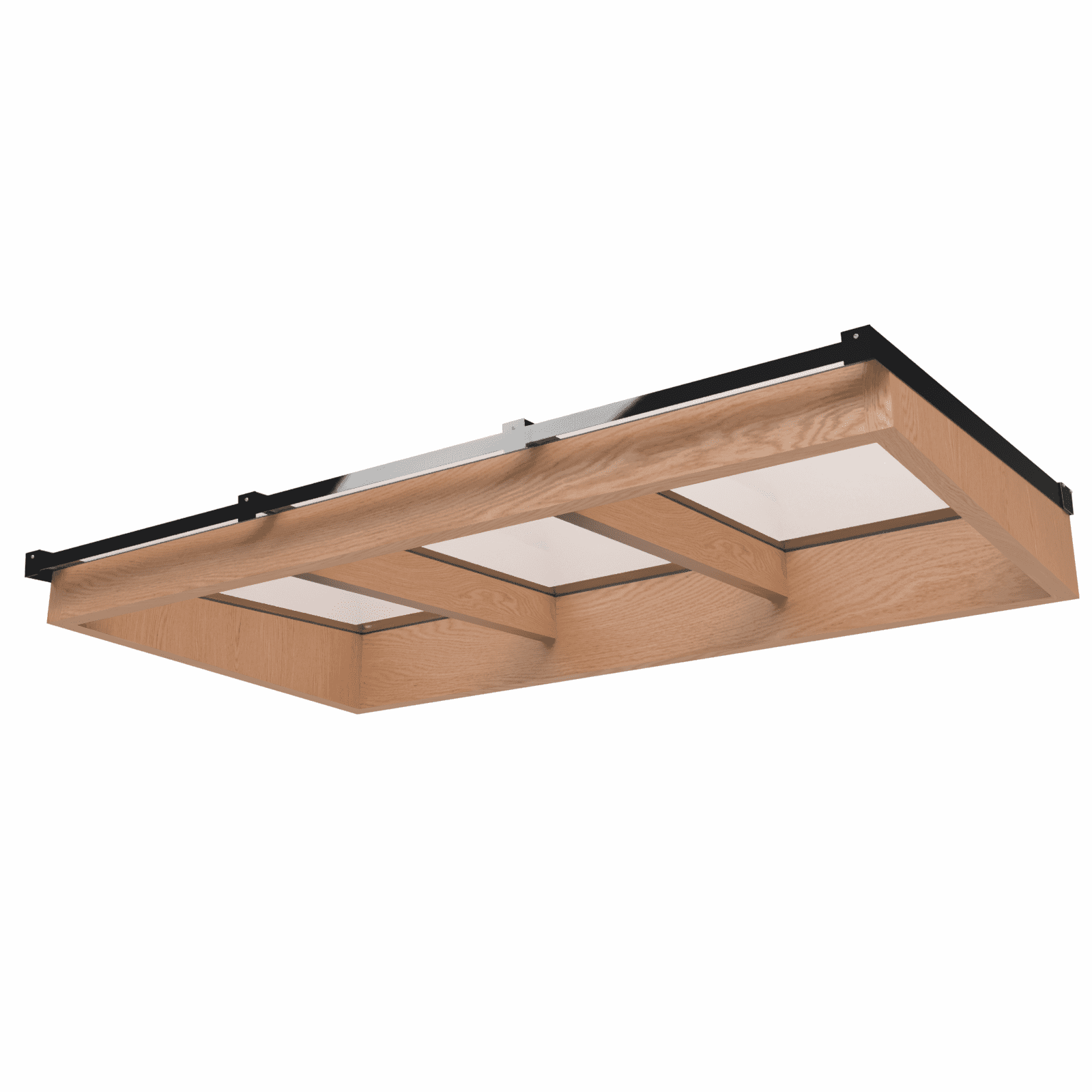 Lichtstraat met lessenaarsdak | onderbouw van onbehandeld douglas | 240,2x125cm | zwart