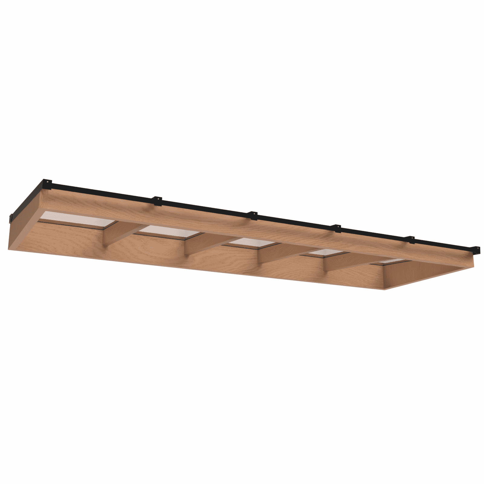 Lichtstraat met lessenaarsdak | onderbouw van onbehandeld douglas | 404,2x125cm | zwart